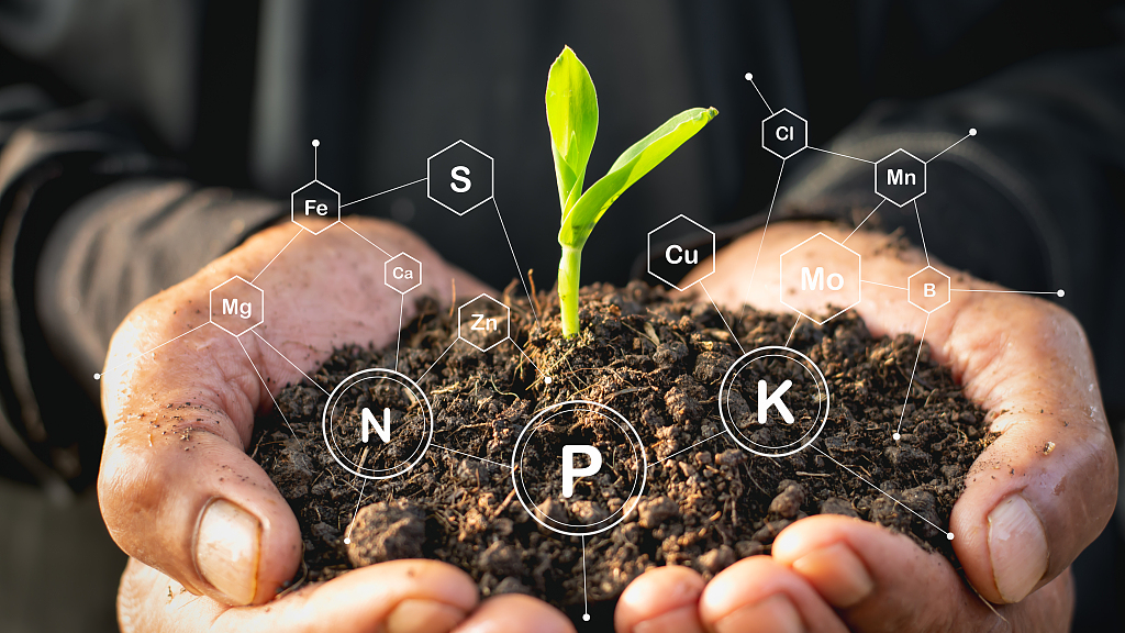 Soil Health Improvement