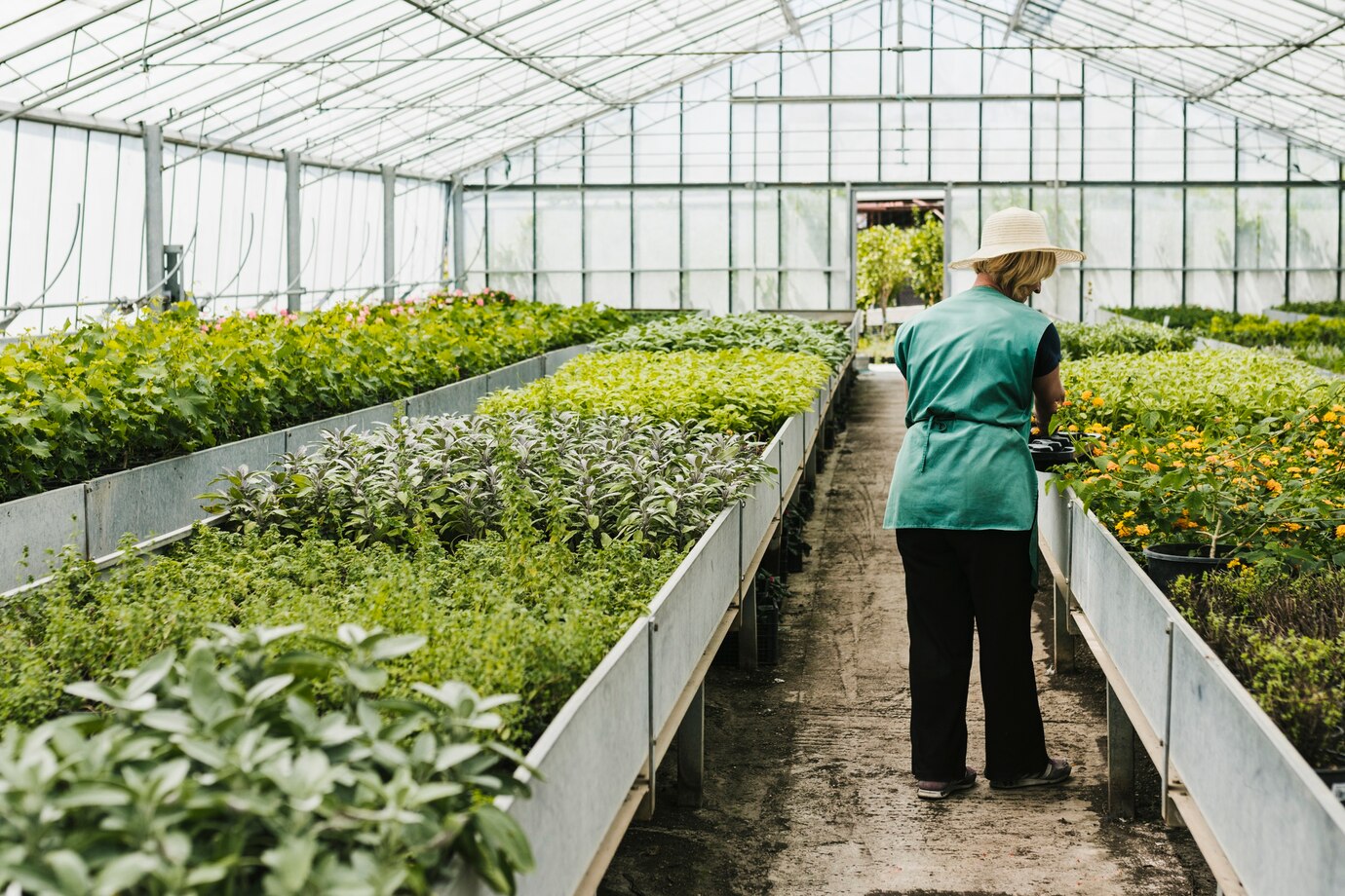 Agriculture & Horticulture