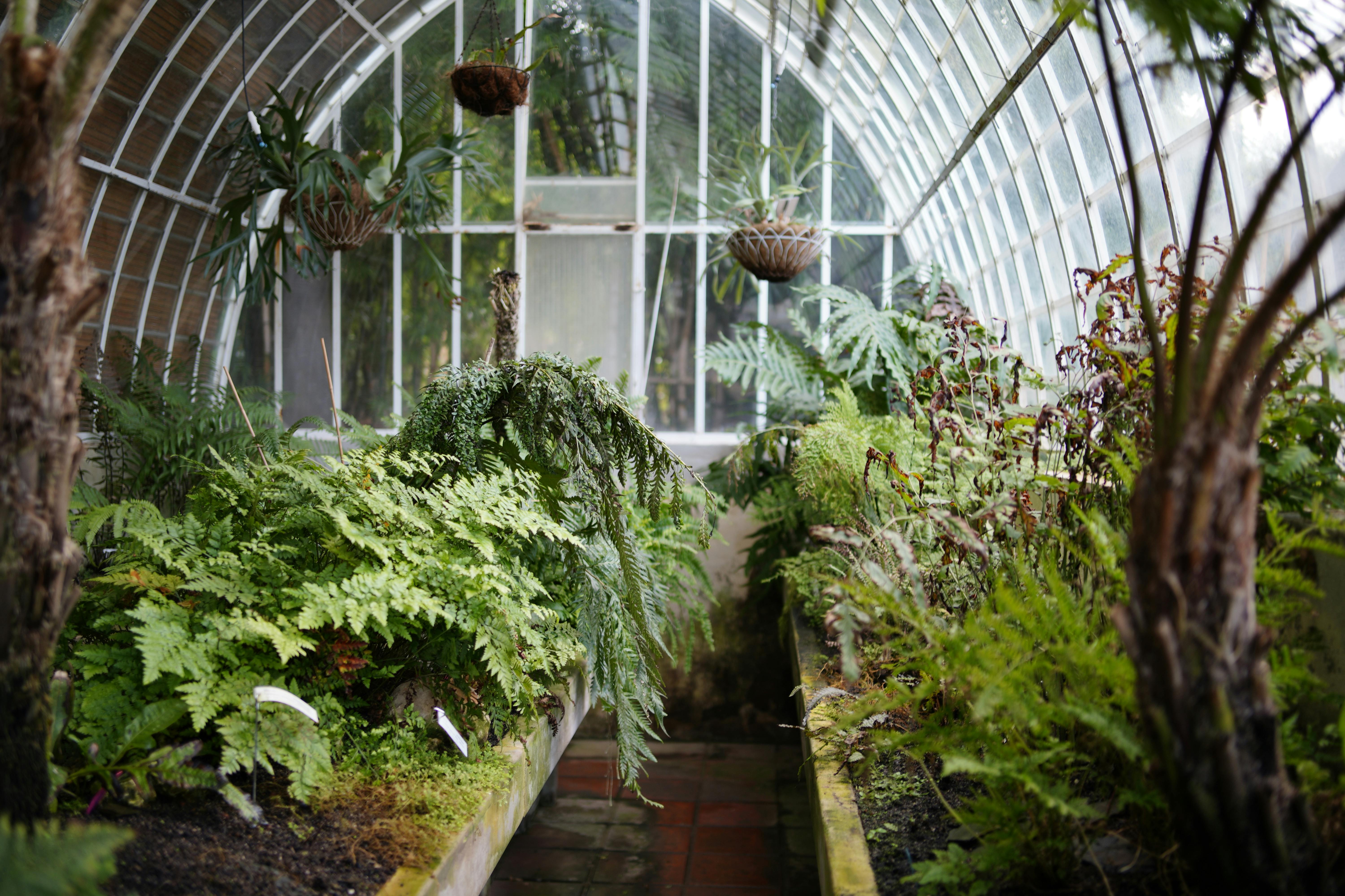 Greenhouses
