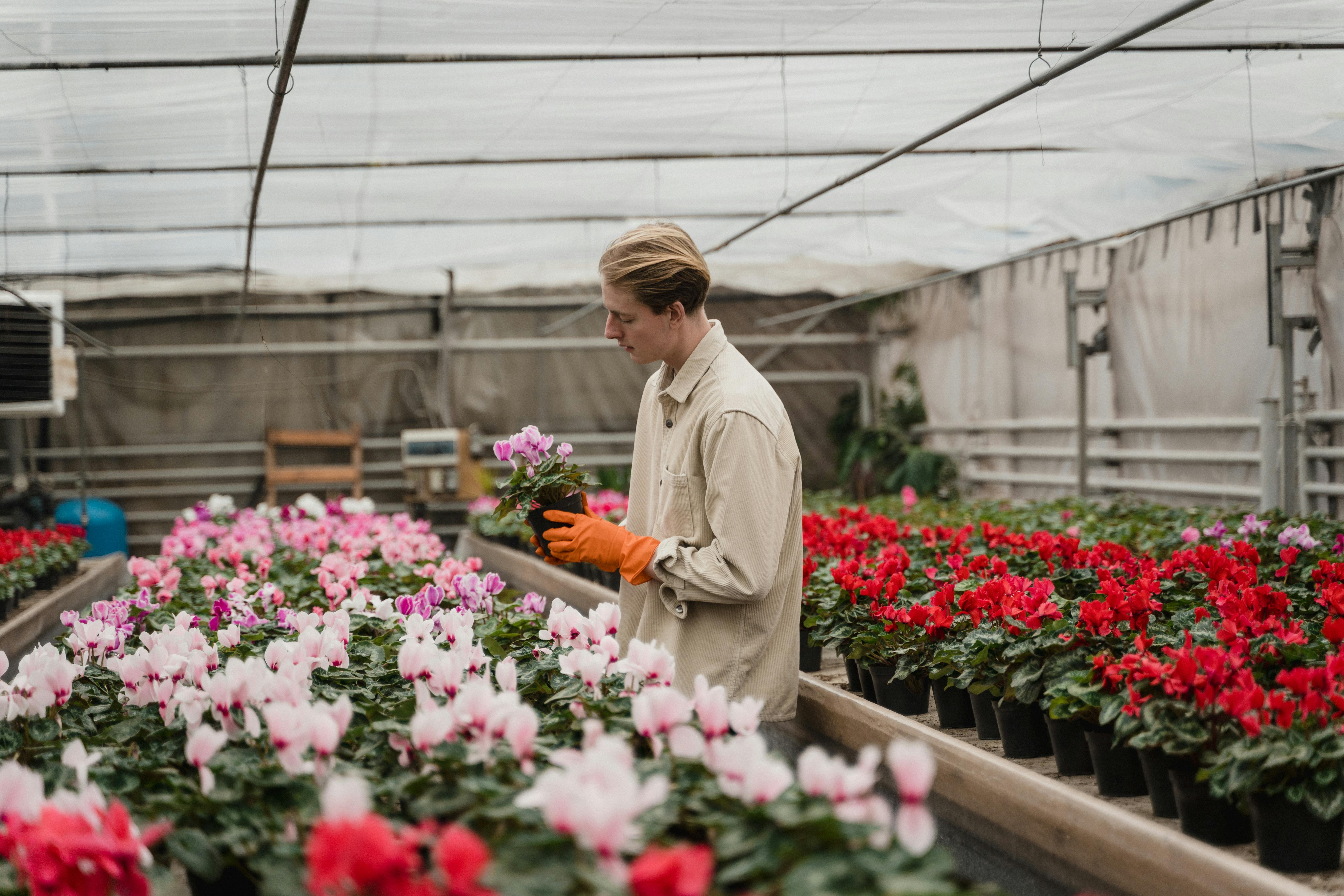Horticulture