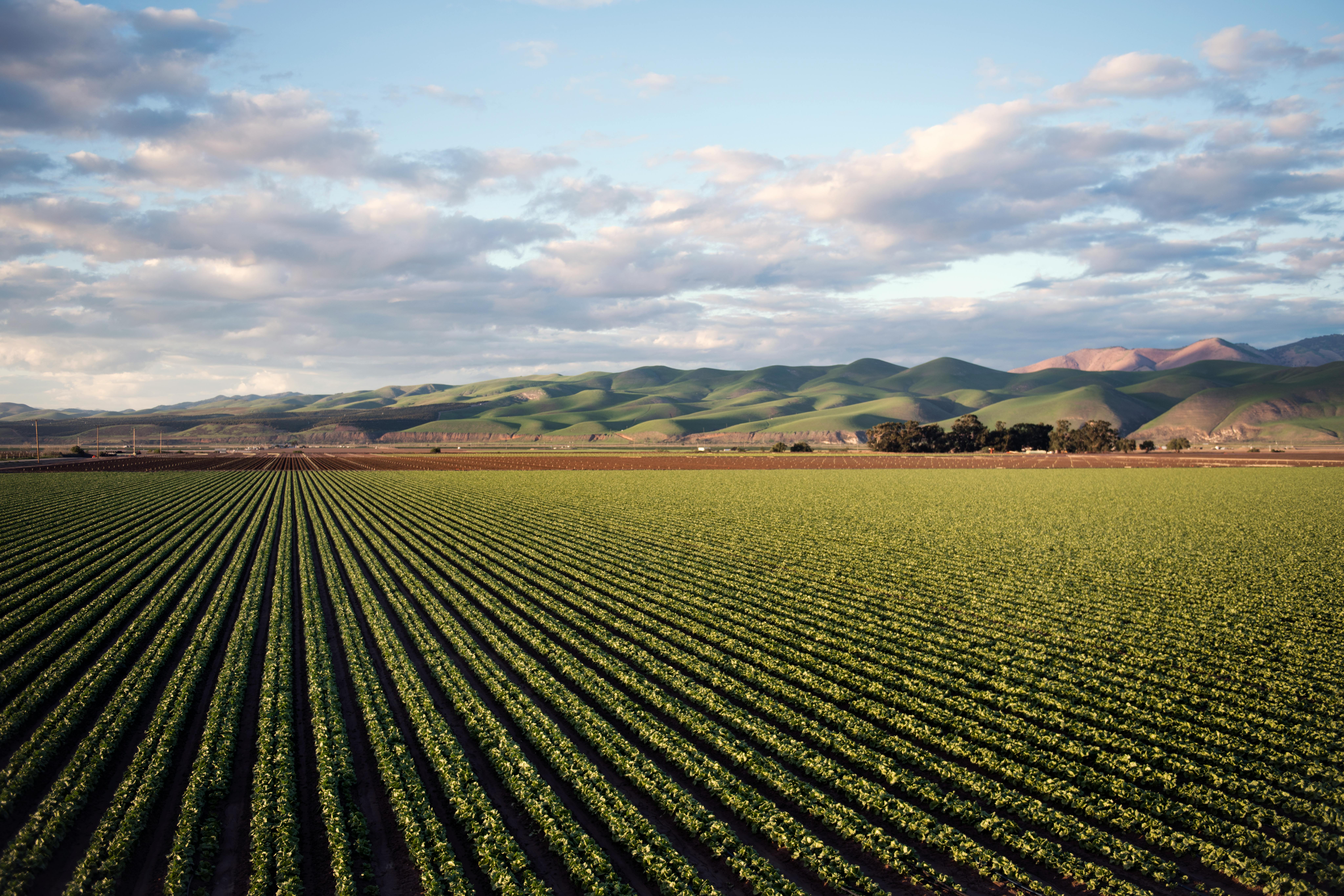 Agriculture