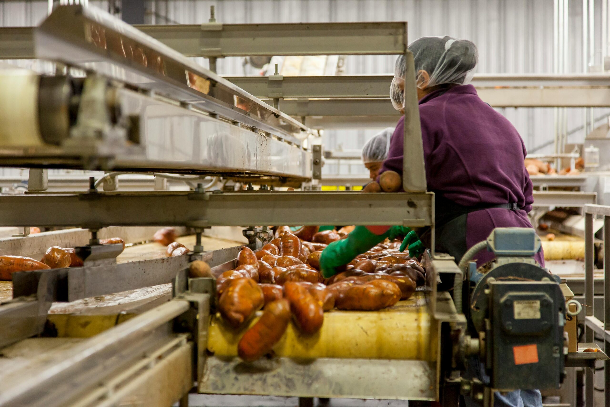 Food Industry